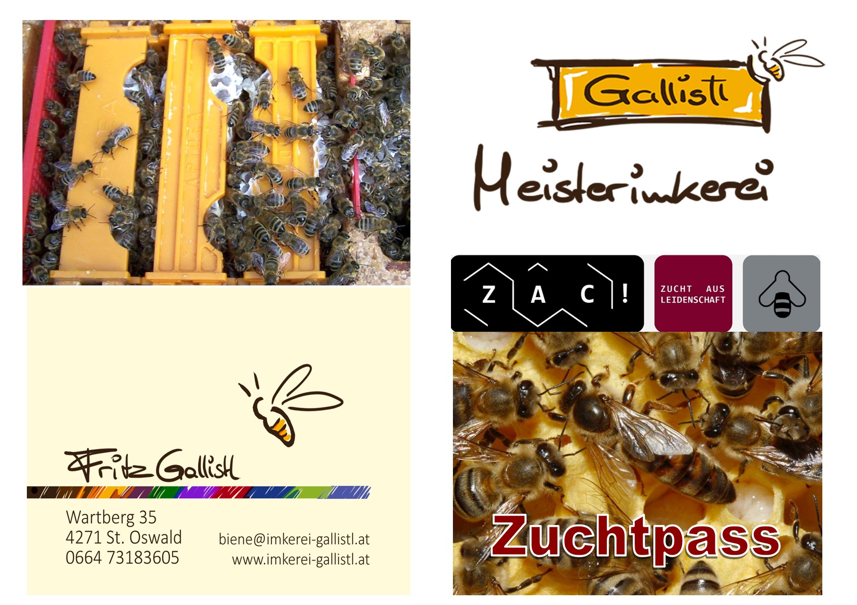 Reinzucht Carnica